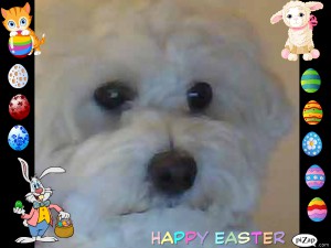 pizap.com13337083202411.jpg
